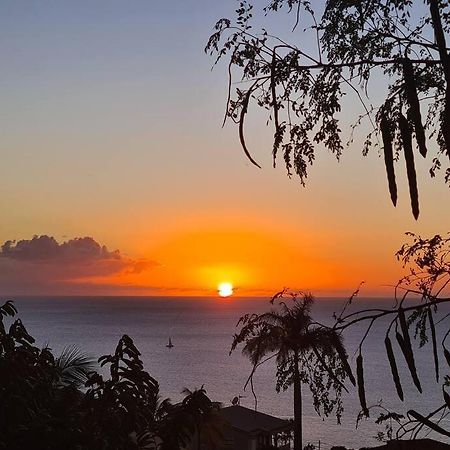 Ti Sucrier Jaune - Douceur Caraibe Vue Mer Le Carbet Eksteriør bilde
