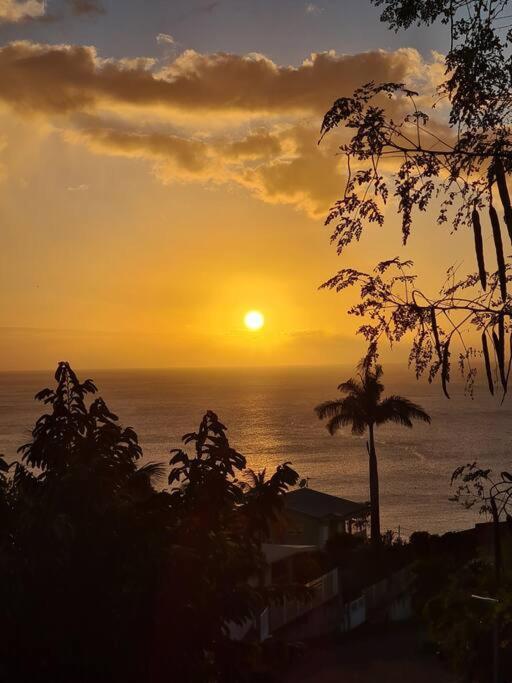 Ti Sucrier Jaune - Douceur Caraibe Vue Mer Le Carbet Eksteriør bilde