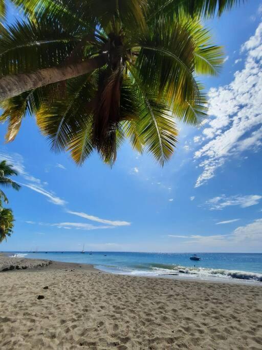 Ti Sucrier Jaune - Douceur Caraibe Vue Mer Le Carbet Eksteriør bilde