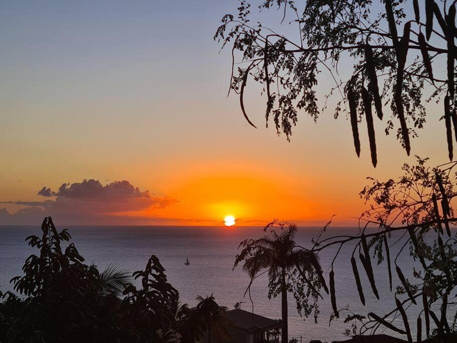 Ti Sucrier Jaune - Douceur Caraibe Vue Mer Le Carbet Eksteriør bilde
